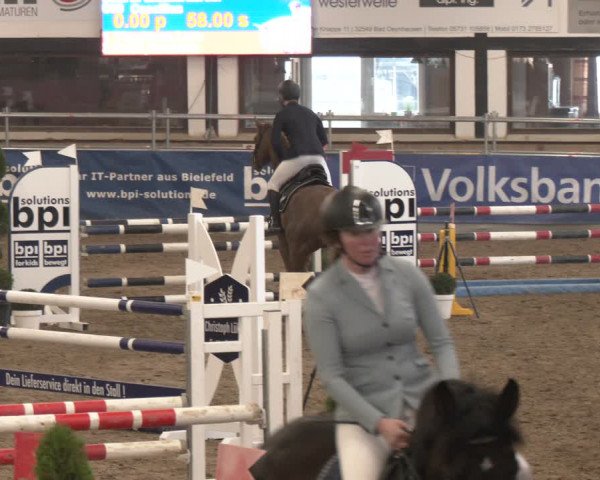 Reitturnier Vlotho-Exter 2024