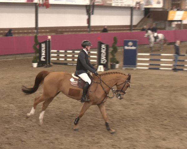 Reitturnier Vlotho-Exter 2024
