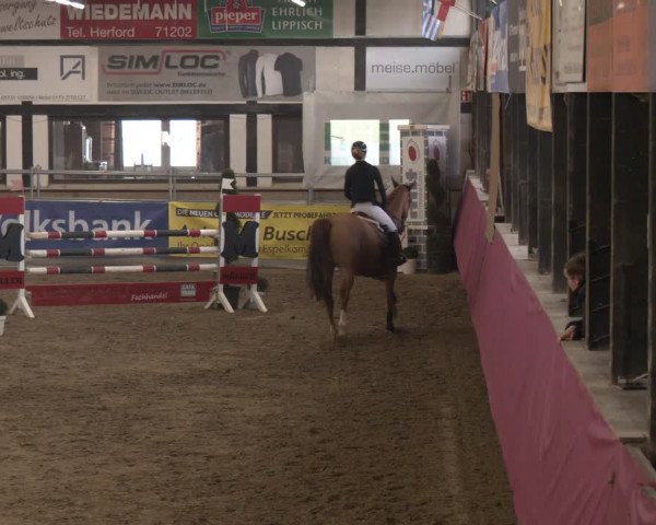 Reitturnier Vlotho-Exter 2024