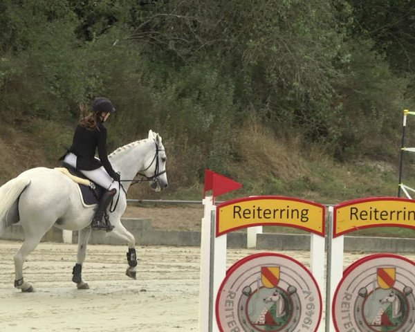 Reitturnier Forst 2021