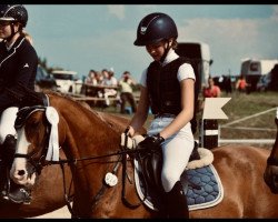 jumper Mr. Sweetheart (German Riding Pony, 2015, from AMD Mr. Hobbs)