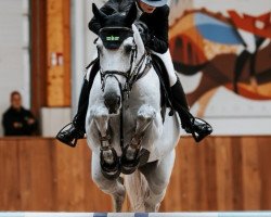 stallion Cornetaro B (Holsteiner, 2016, from Cornet Obolensky)