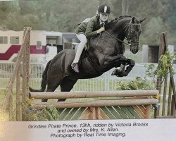 horse Grindles Pirate Prince (British Riding Pony, 1999, from Sandbourne Royal Ensign)