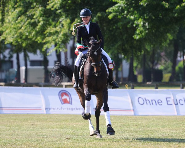 dressage horse Screenshot S (Hanoverian, 2018, from Secret)