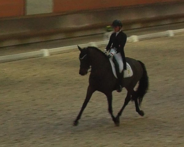 Reitturnier Tremsdorf, Eichenhof 2024