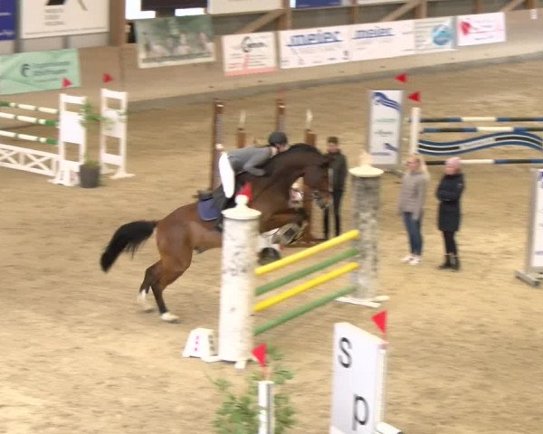 Reitturnier Schaffhausen 2024