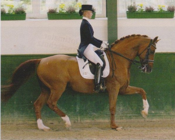 stallion Wolkenstein III (Hanoverian, 1995, from Weltmeyer)