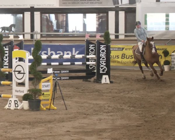 Reitturnier Vlotho-Exter 2024