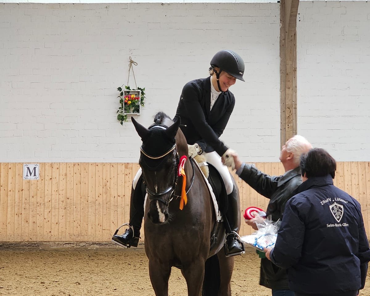 dressage horse Zoul Beat (Westphalian, 2015, from Zack)