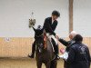 dressage horse Zoul Beat (Westphalian, 2015, from Zack)