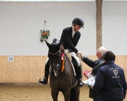 dressage horse Zoul Beat (Westphalian, 2015, from Zack)