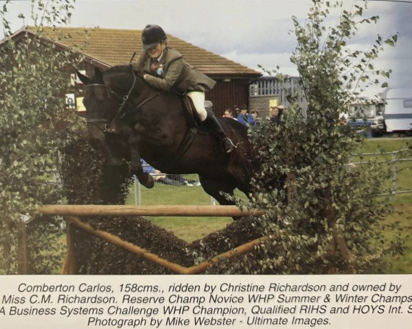 horse Comberton Carlos (British Riding Pony, 1994, from Ottergayle xx)