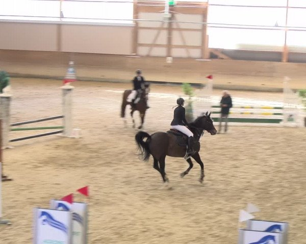 Reitturnier Schaffhausen 2024