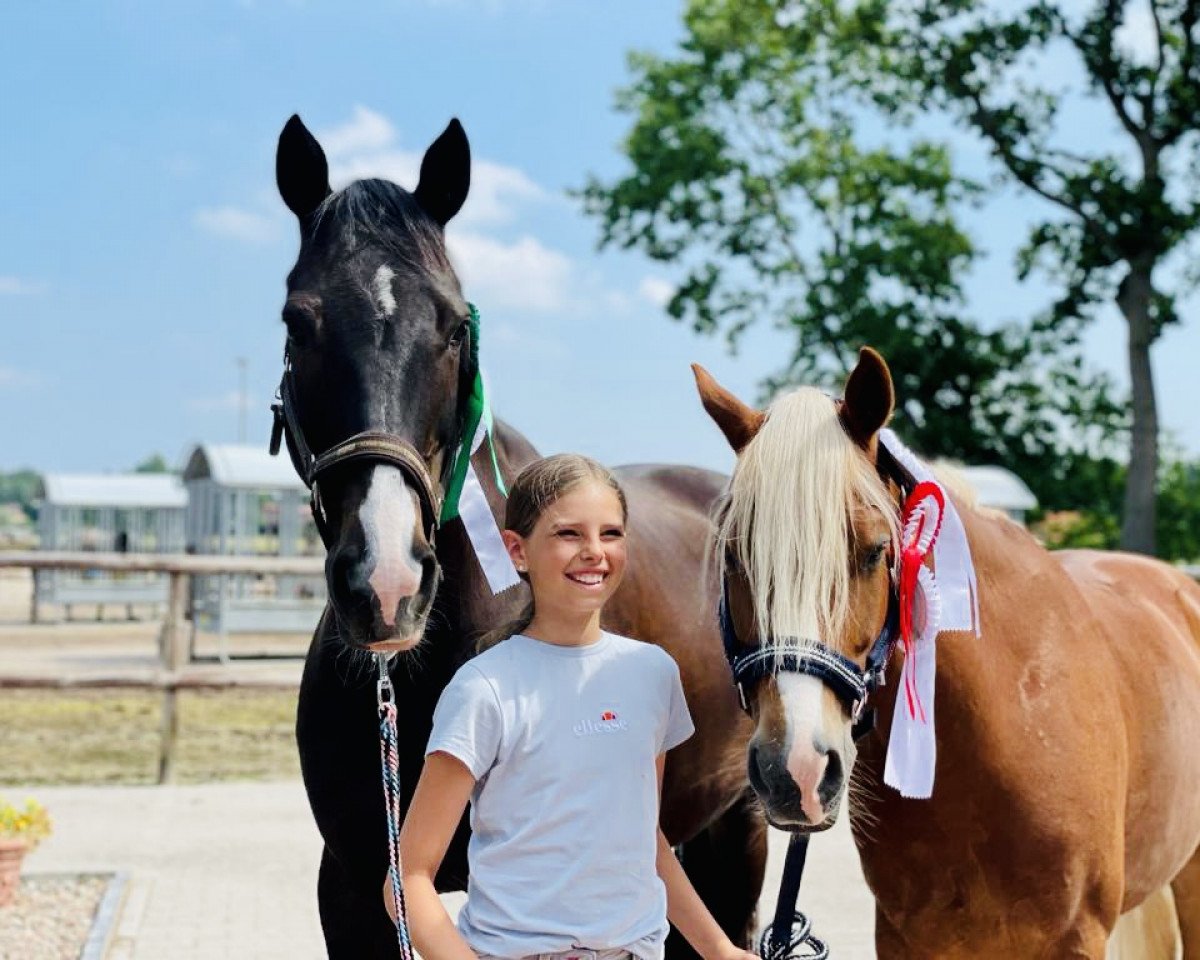 broodmare Cookies Cream R (German Warmblood, 2015, from Casiro I)