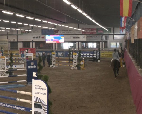 Reitturnier Vlotho-Exter 2024