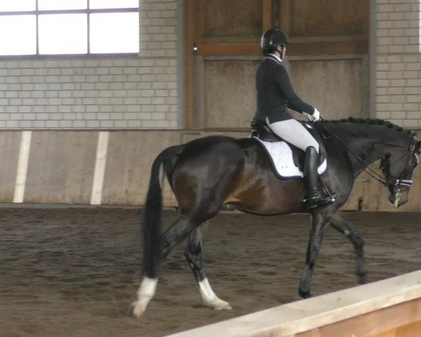 Reitturnier Hildesheim- Marienburg 2024