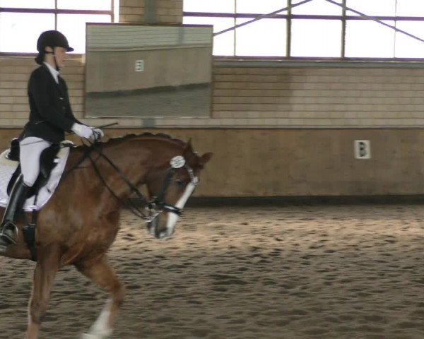 Reitturnier Hildesheim- Marienburg 2024