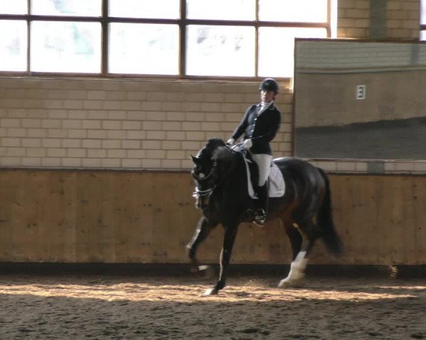 Reitturnier Hildesheim- Marienburg 2024