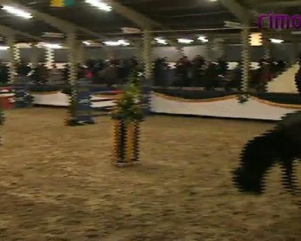 Vreden 2011