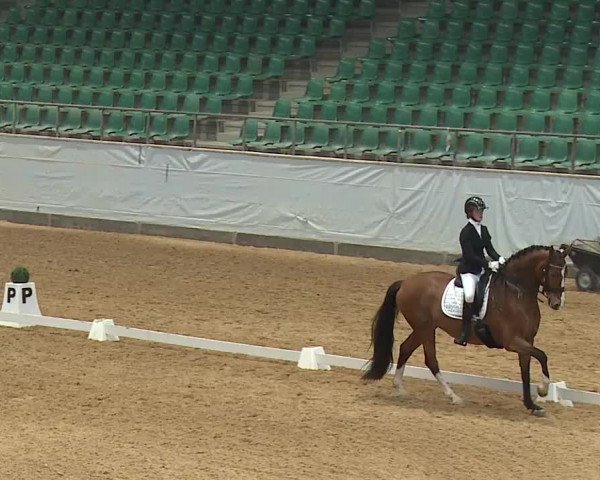 Reitturnier Kreuth/Opf. 2024