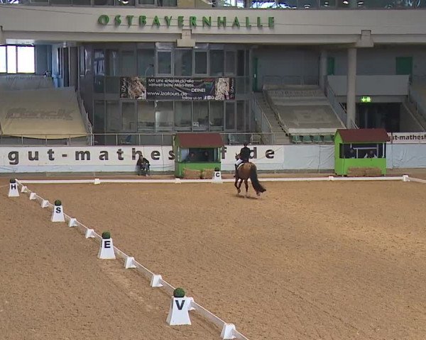 Reitturnier Kreuth/Opf. 2024