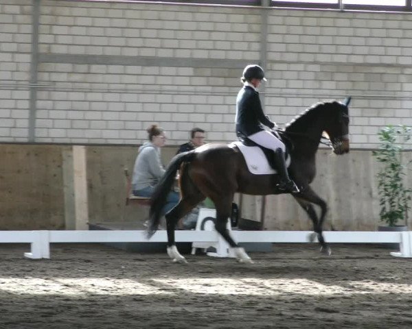 Reitturnier Hildesheim- Marienburg 2024
