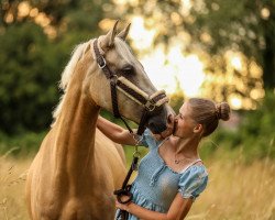 Dressurpferd Crazy Carlchen (Deutsches Reitpony, 2018)