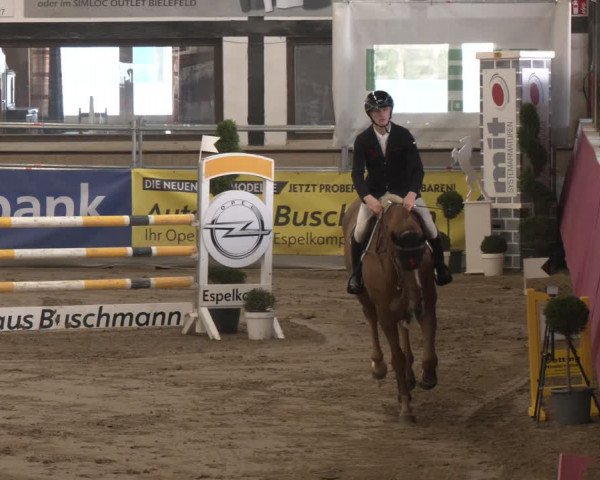 Reitturnier Vlotho-Exter 2024