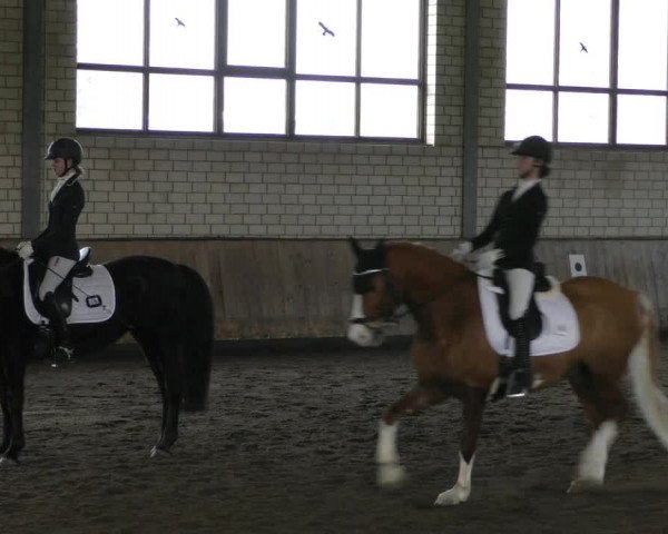 Reitturnier Hildesheim- Marienburg 2024