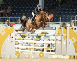 Springpferd Exotik Sitte (Belgium Sporthorse, 2010, von Ogano Sitte)