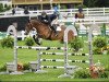 jumper That's It 3 (Oldenburg show jumper, 2006, from Toulon)