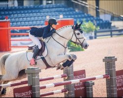 jumper Quality II (Nederlands Rijpaarden en Pony, 2005, from Quasimodo Z)