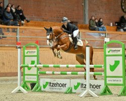 jumper Ezzy (Hanoverian, 2016, from Edward 28)