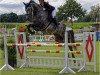 jumper La Royal Luna (Oldenburg show jumper, 2016, from Chaccato)