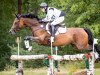 jumper Loulany (Trakehner, 2010, from Kostolany)