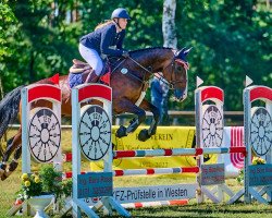 Zuchtstute Quinta des Baumes (Schweizer Warmblut, 2009, von Landjuweel St Hubert)