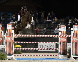 Springpferd Dance du Buisson Z (KWPN (Niederländisches Warmblut), 2011, von Dutch Capitol)