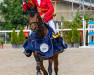 jumper Charlyn (Hanoverian, 2013, from Clinton I)