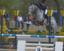 jumper Eliara G (KWPN (Royal Dutch Sporthorse), 2009, from Zirocco Blue)