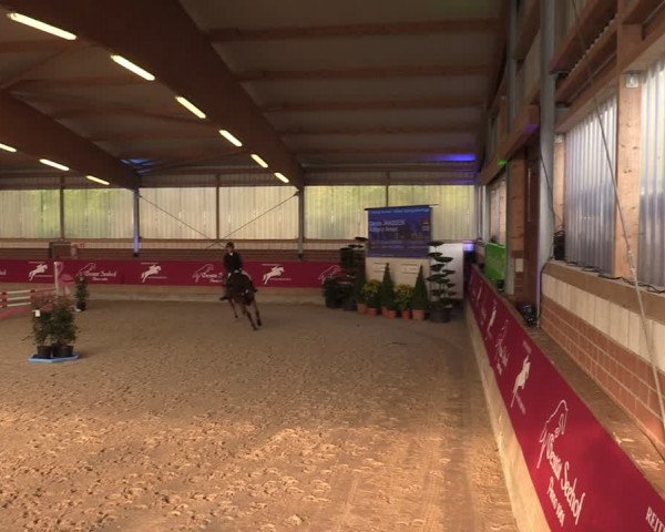 Reitturnier Kaldenkirchen - Gestüt Seehof 2024