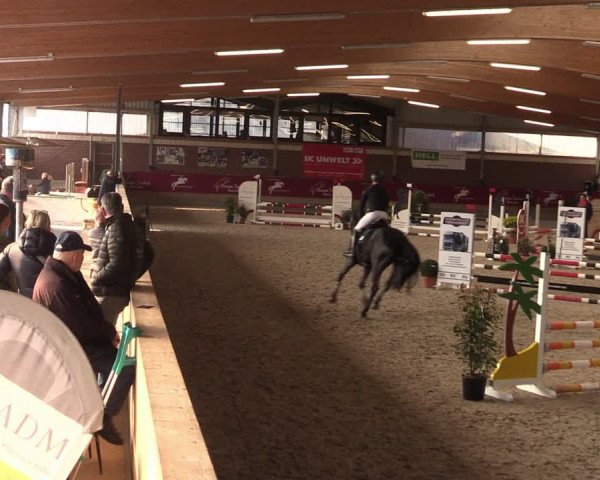 Reitturnier Kaldenkirchen - Gestüt Seehof 2024