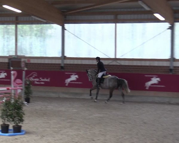 Reitturnier Kaldenkirchen - Gestüt Seehof 2024