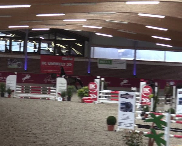 Reitturnier Kaldenkirchen - Gestüt Seehof 2024
