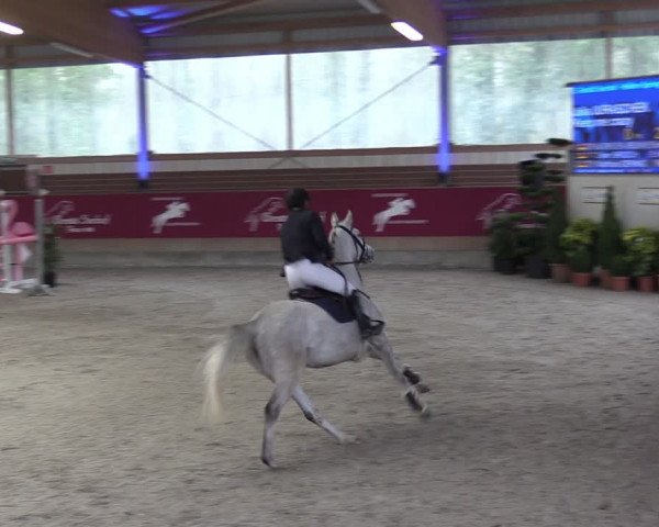Reitturnier Kaldenkirchen - Gestüt Seehof 2024