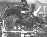 horse Joost (Holsteiner, 1968, from Consul)