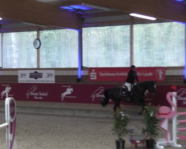 Reitturnier Kaldenkirchen - Gestüt Seehof 2024
