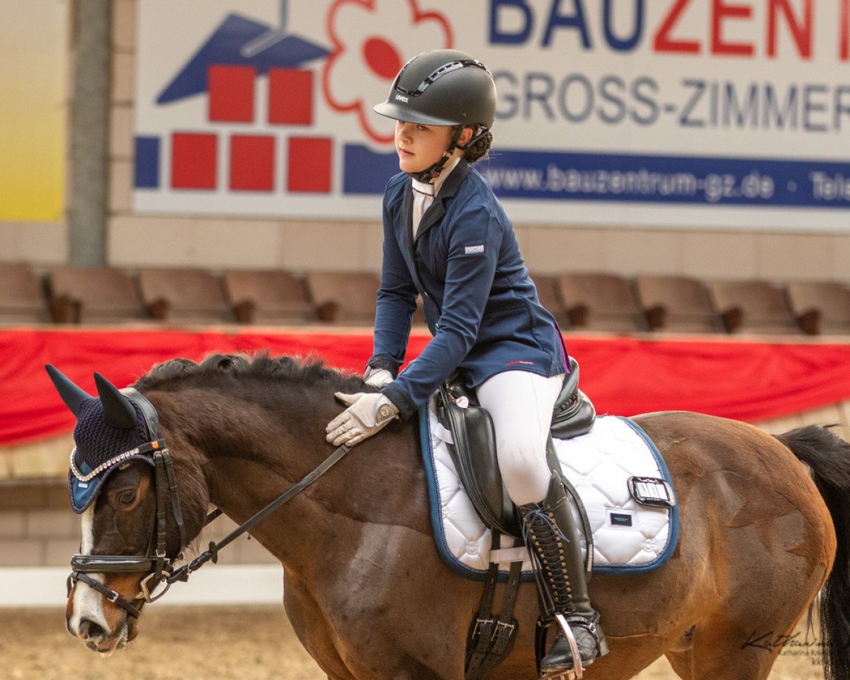 dressage horse Beauty 625 (Dutch Pony, 2013)
