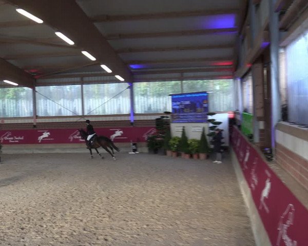 Reitturnier Kaldenkirchen - Gestüt Seehof 2024