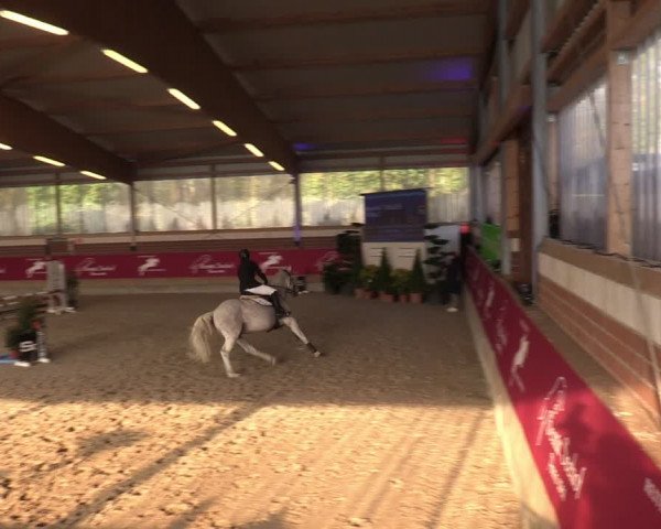 Reitturnier Kaldenkirchen - Gestüt Seehof 2024