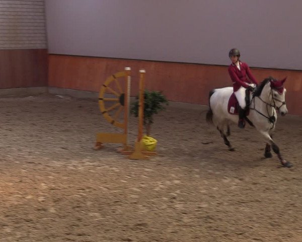 Reitturnier Leverkusen-Rheindorf 2024